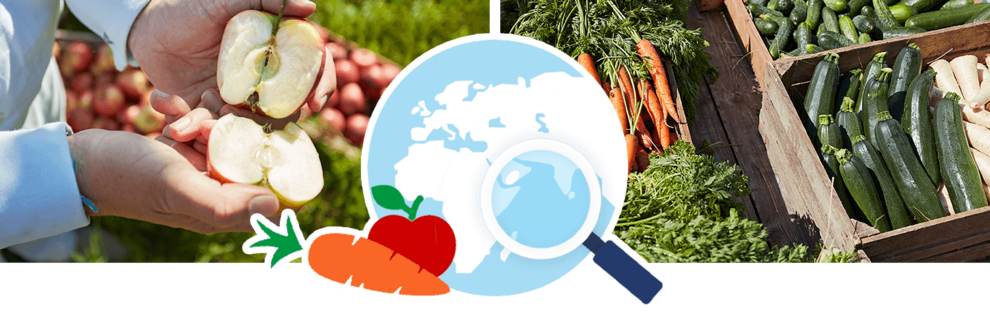 Vyhledávač ingrediencí Vyhledávač ingrediencí