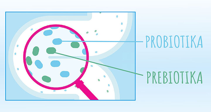 Probiotika a prebiotika - rozdíl