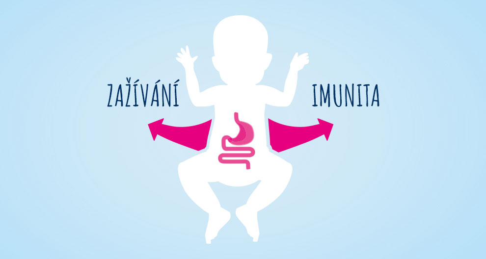 Probiotika a prebiotika v mateřském mléce zlepšují zažívání a imunitu u dětí Probiotika a prebiotika v mateřském mléce zlepšují zažívání a imunitu u dětí