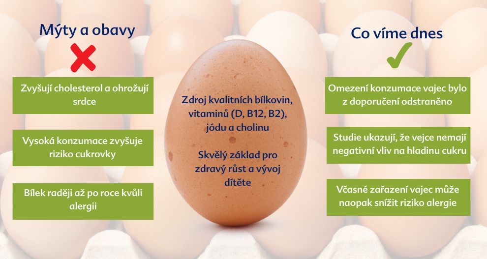 Srovnání vajec s důrazem na jejich nutriční výhody a mýty, které se o nich tradují.