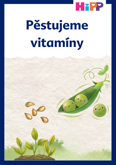 Sekvence růstu hrachu od semen, přes klíčení až po zrání lusku.