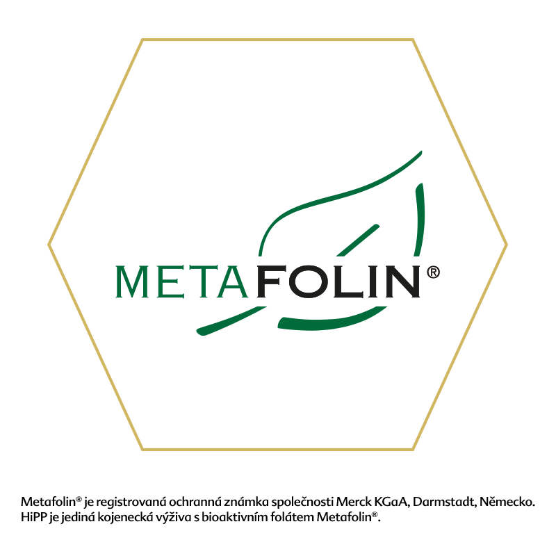 Logo s textem "MetaFolin®" a stylizovaným zeleným listem.
