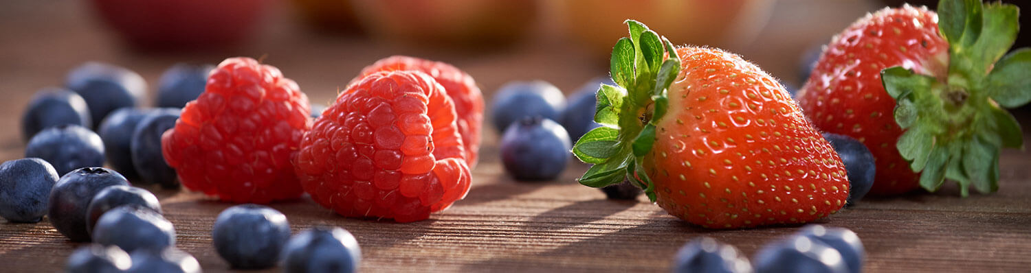 Vyhledávač ingrediencí HiPP Vyhledávač ingrediencí HiPP