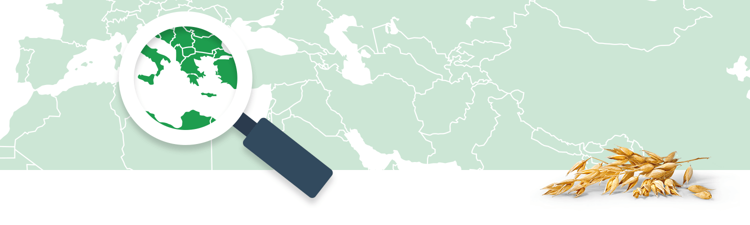 A magnifying glass focuses on a region of a world map, while a cluster of golden grains lies in the foreground.