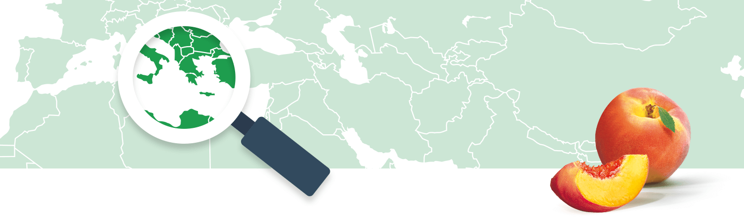 O původu broskví HiPP: mapa O původu broskví HiPP: mapa
