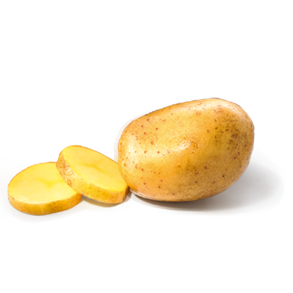 Brambory