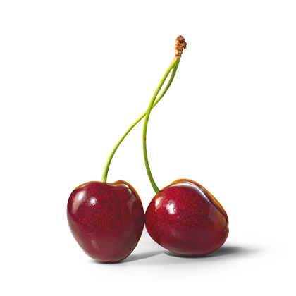 Višně