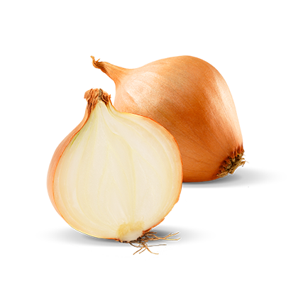 Cibule